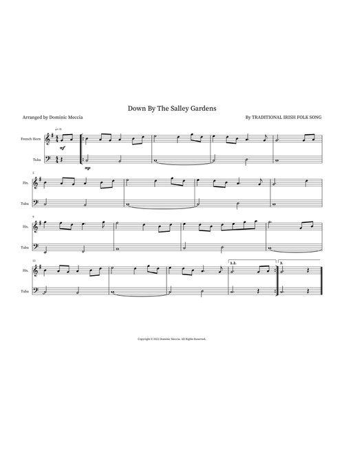 Down By The Salley Gardens (Arr. Dominic Meccia) - Traditional Irish Folk Song (Instrumental Duet)