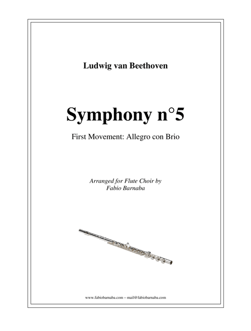 Beethoven's Fifth Symphony (first movement) - for Flute Choir (Arr. Fabio Barnaba) - Ludwig Van Beethoven (Woodwind Ensemble)
