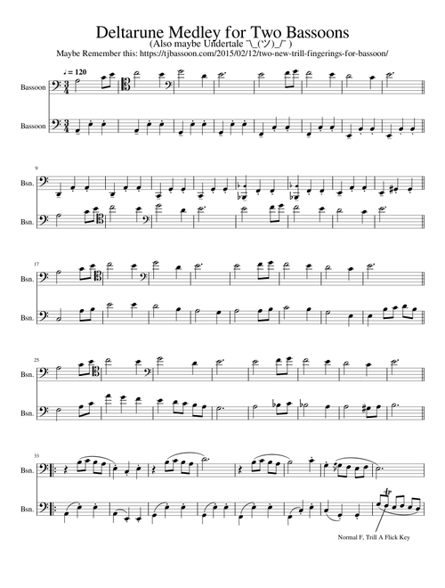 Deltarune medley for two bassoons