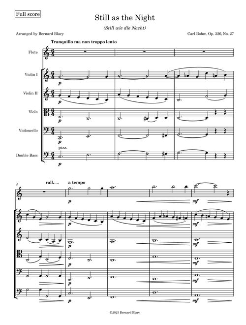 Still as the Night - Op. 326, No. 27 (Arr. Bernard Blary) - Carl Bohm (Chamber Orchestra)