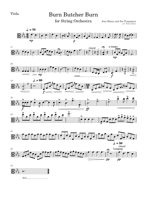 Burn Butcher Burn – Joe Trapanese and Joey Batey (Viola)