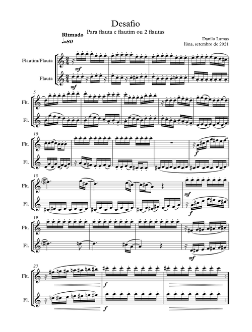 Desafio(flute/piccolo) - Danilo Lamas (Instrumental Solo)