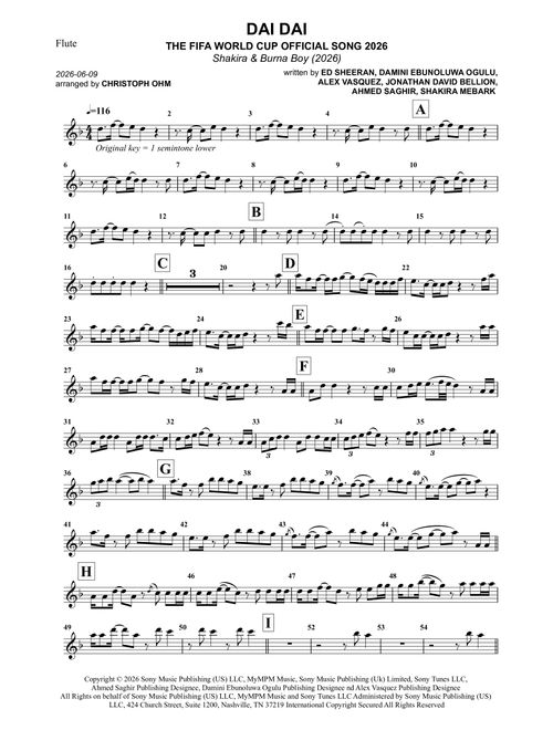 Dai Dai (Arr. Christoph Ohm) - Shakira & Burna Boy (Flute Solo)