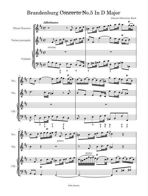 Brandenburg Concerto No.5 In D Major II . Affeituoso