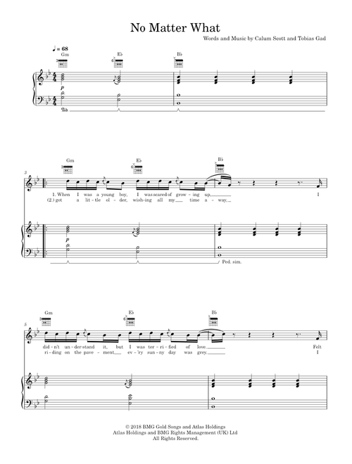 No matter what - Calum Scott (Piano-Voice-Guitar)