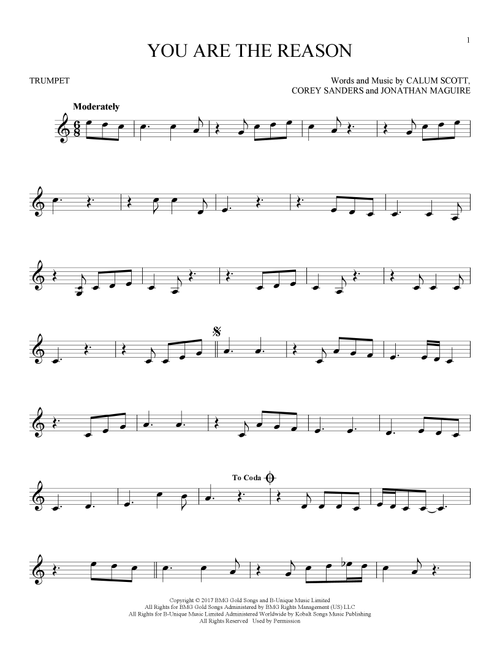 You Are The Reason - Calum Scott (Trumpet Solo)