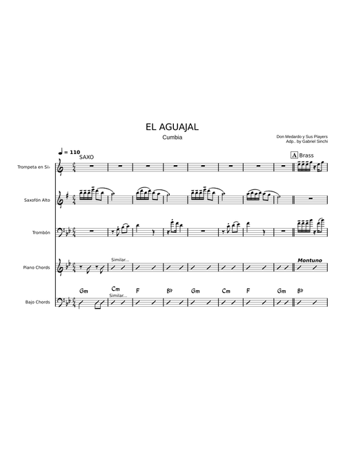 El Aguajal