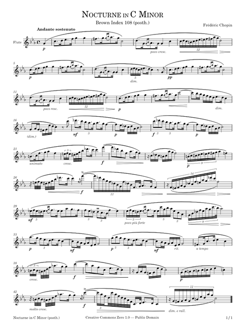 Nocturne in C minor – Flute Solo – Chopin – posth.