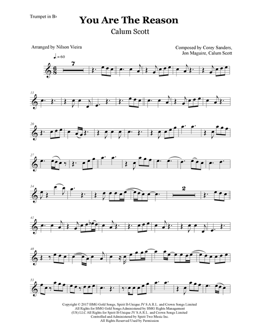You Are The Reason (Arr. Nilson de Melo Vieira) - Calum Scott (Trumpet Solo)