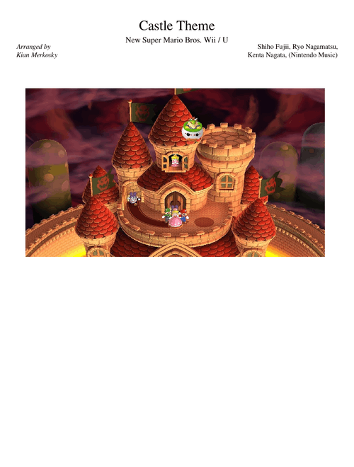Prince Sidon - The Legend of Zelda: Tears of the Kingdom – Hajime Wakai, Manaka Kataoka, Maasa Miyoshi, Masato Ohashi & Tsukasa Usui Castle Theme - New Super Mario Bros. Wii   U