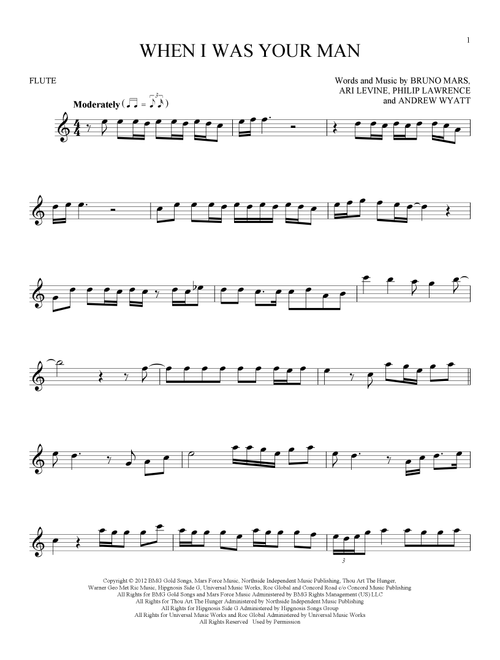When I Was Your Man - Bruno Mars (Flute Solo)