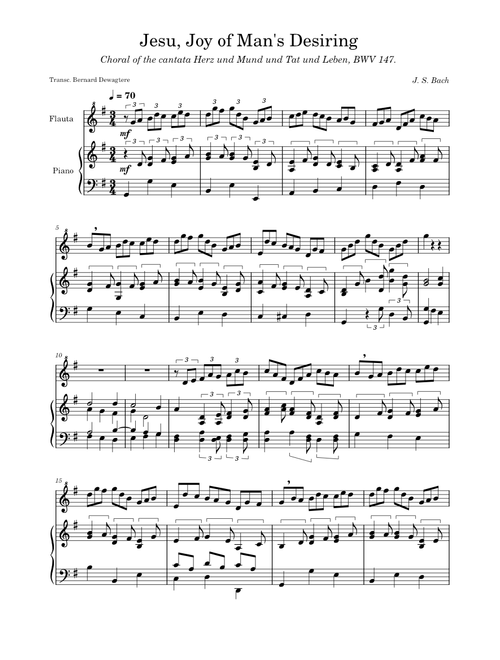 Jesu, Joy of Man's Desiring, cantata 147 - Bach (Recorder)