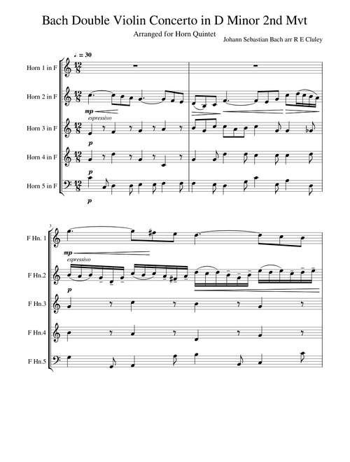 Bach Double Violin Concerto in D Minor 2nd Mvt for Horn Quintet