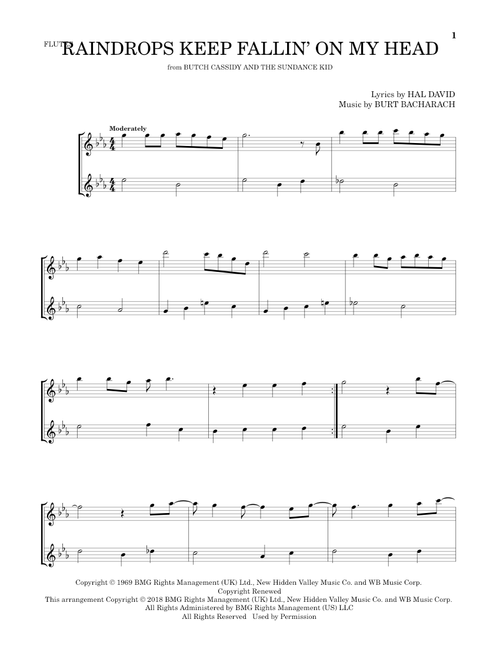 Raindrops Keep Fallin' On My Head - BJ Thomas (Flute Duet)