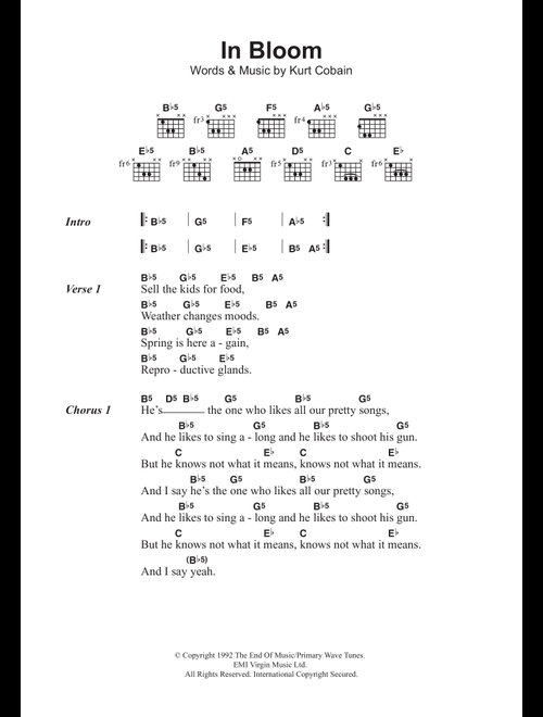 In Bloom - Nirvana (Guitar Chords-Lyrics)