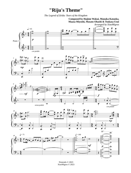 Riju's Theme - The Legend of Zelda: Tears of the Kingdom
