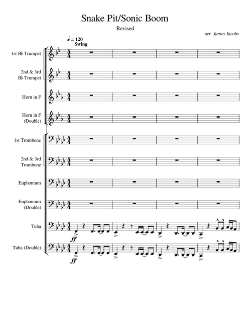 Snake Pit – Sonic Boom Snake Pit/Sonic Boom Swing