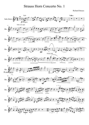 Strauss Horn Concerto 1 Full Score All Movements Sheet Music For strauss-horn-concerto-1-full-score-all-movements-sheet-music-for