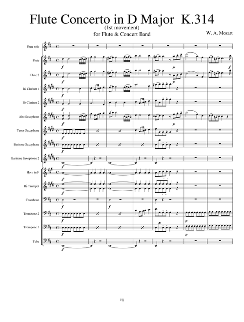 Flute Concerto in D Major  K.314