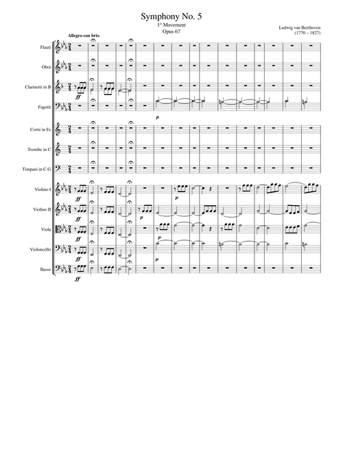 Symphony No. 5, 1st Movement