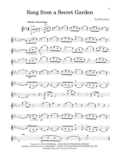 Song From A Secret Garden (Violin Solo)