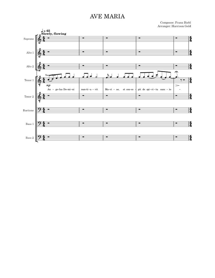 Ave Maria - Franz Biebl Sheet Music for Soprano, Alto, Tenor, Bass ...