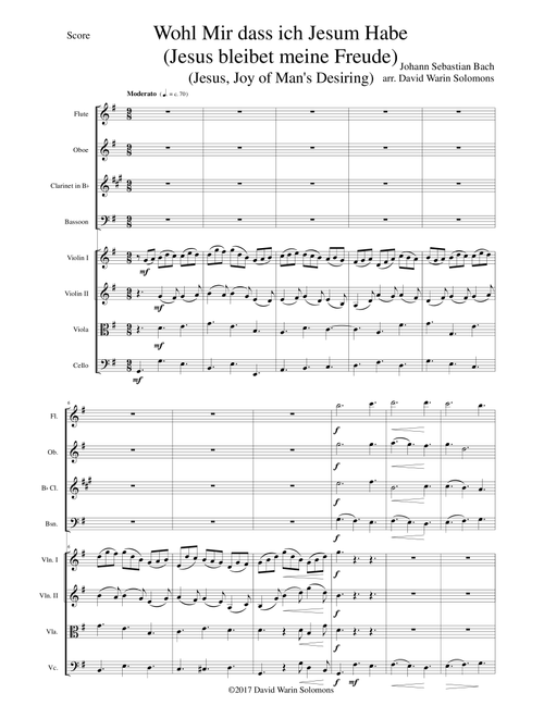 Wohl mir dass ich Jesum habe (Jesu joy of man's desiring) for wind quartet and strings (Arr. David Warin Solomons) - Johann Sebastian Bach (Small Ensemble)