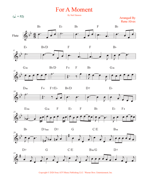 For A Moment (Arr. Rene Alves) - Neil Hannon (Flute Solo)