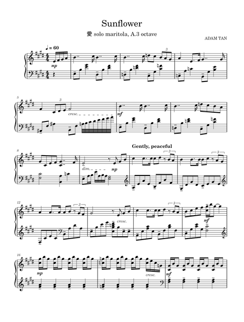 Sunflower – Adam Tan