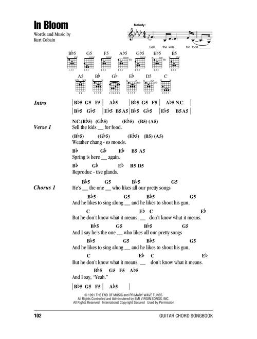 In Bloom - Nirvana (Guitar Chords-Lyrics)