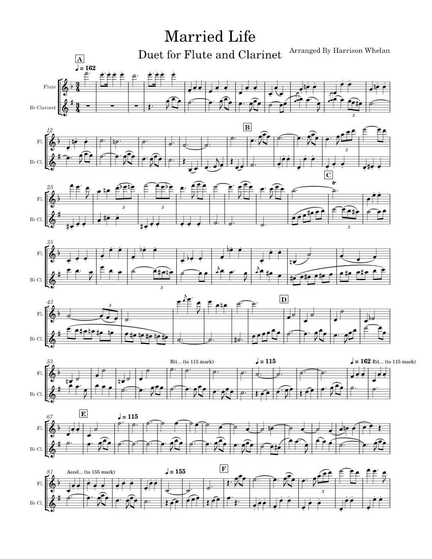 Married Life Duet Sheet music for Flute, in b