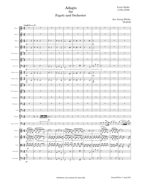 Adagio for Bassoon and Orchestra - Louis Spohr - WoO35
