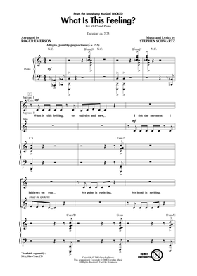 Wicked: A New Musical 楽譜集 A New Musical - Wicked | Piano Solo Songbook | Broadway