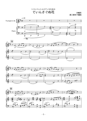 xodiac シン トレカ 対面ペンサ music plant 驚きの価格 xodiac