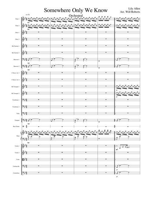 Somewhere Only We Know Orchestral