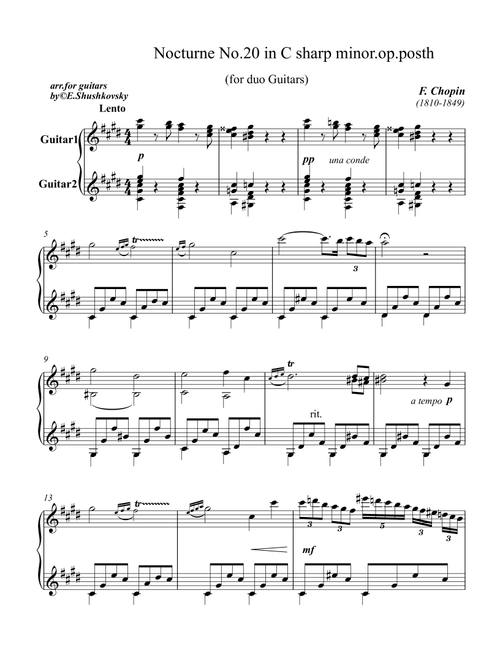 Nocturne No.20 C sharp minor.Op. posth (Arr. Evgeny Shushkovsky) - Frederic Chopin (Instrumental Duet)