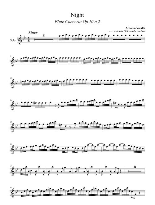 Flute Concerto n. 2 in G minor 'La Notte' - Flute Choir (Arr. Antonio Di Giamberardino) - Antonio Vivaldi (Woodwind Ensemble)
