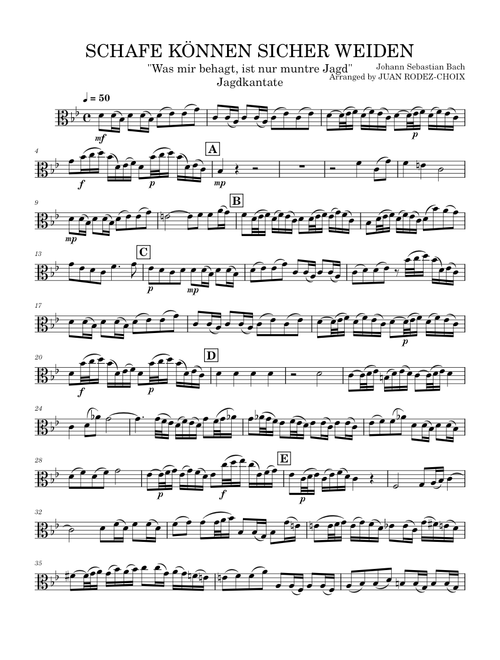 Sheep May Safely Graze, BWV 208 – Johann Sebastian Bach