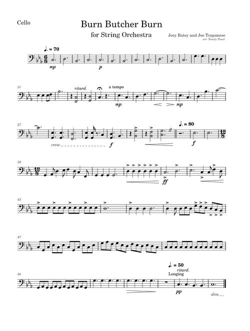 Burn Butcher Burn – Joe Trapanese and Joey Batey (Cello)
