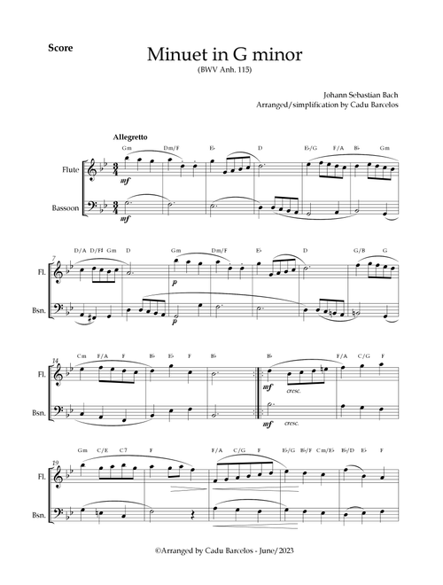 Minuet in G minor BWV anh 115 (Bach) Flute and Bassoon chord (Arr. Cadu Barcelos) - Johann Sebastian Bach (Instrumental Duet)