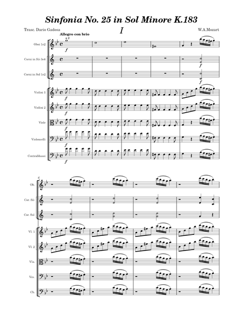 Mozart sinfonia No. 25 in Sol Minore K.183 I tempo