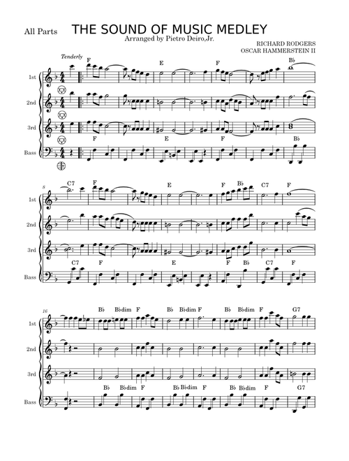 THE SOUND OF MUSIC MEDLEY – Rodgers & Hammerstein