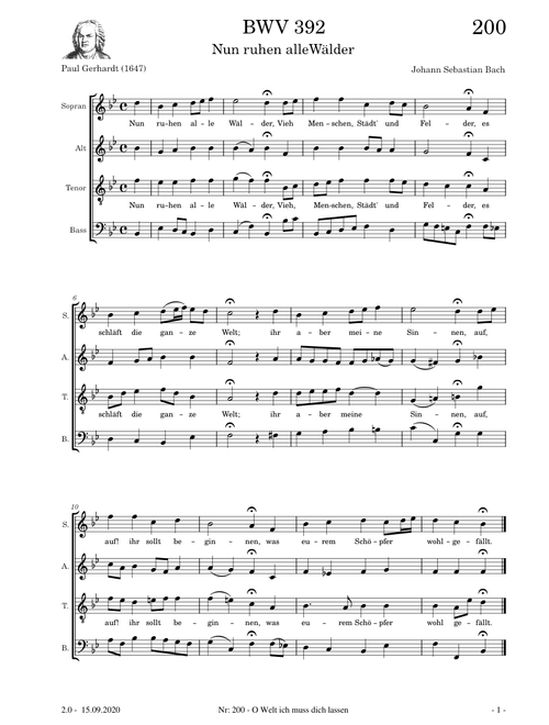 Nun ruhen alle Wälder - Johann Sebastian Bach