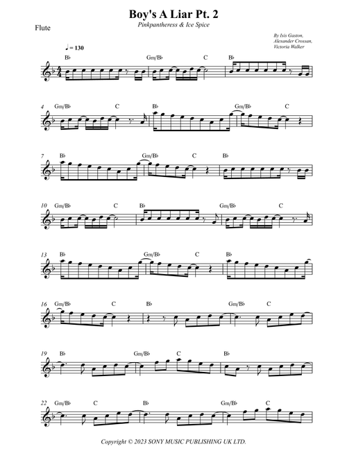 Boy's A Liar Pt. 2 (Arr. Wesley S. SIlva) - Pinkpantheress & Ice Spice (Flute Solo)