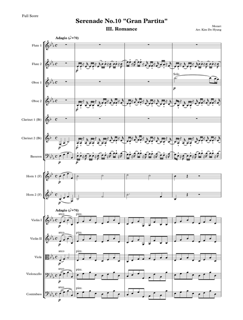 Serenade No.10 'Gran Partita' 3rd movement (Arr. Kim Do Hyung) - Mozart (Full Orchestra)