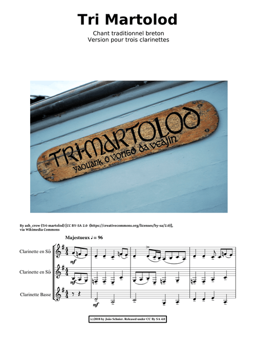 Tri Martolod Yaouank