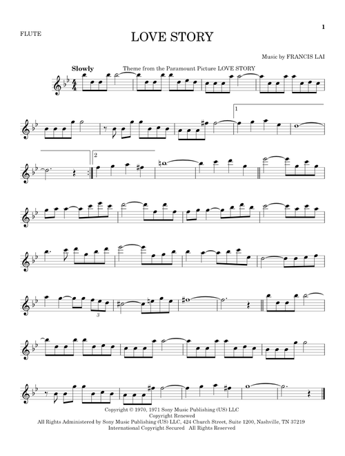 Love Story - Francis Lai (Flute Solo)