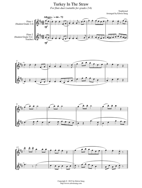 Turkey In The Straw (for flute duet, suitable for grades 2-6) (Arr. Edwin Sung) - Traditional (Flute Solo)