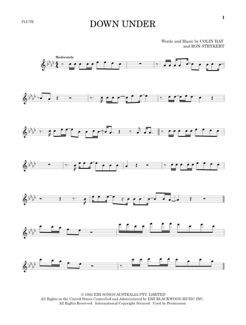 Down Under - Men At Work (Flute Solo)