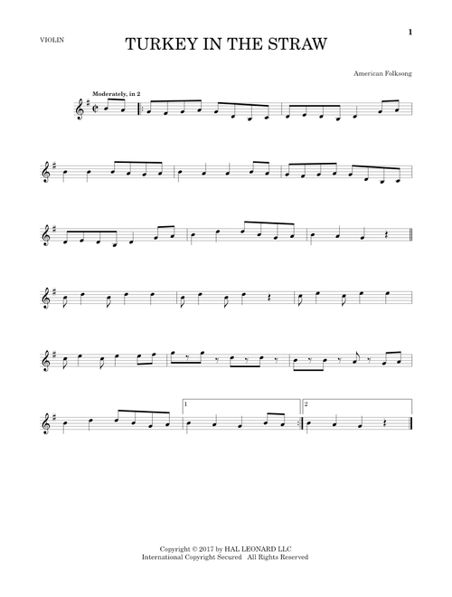 Turkey In The Straw - American Folksong (Violin Solo)